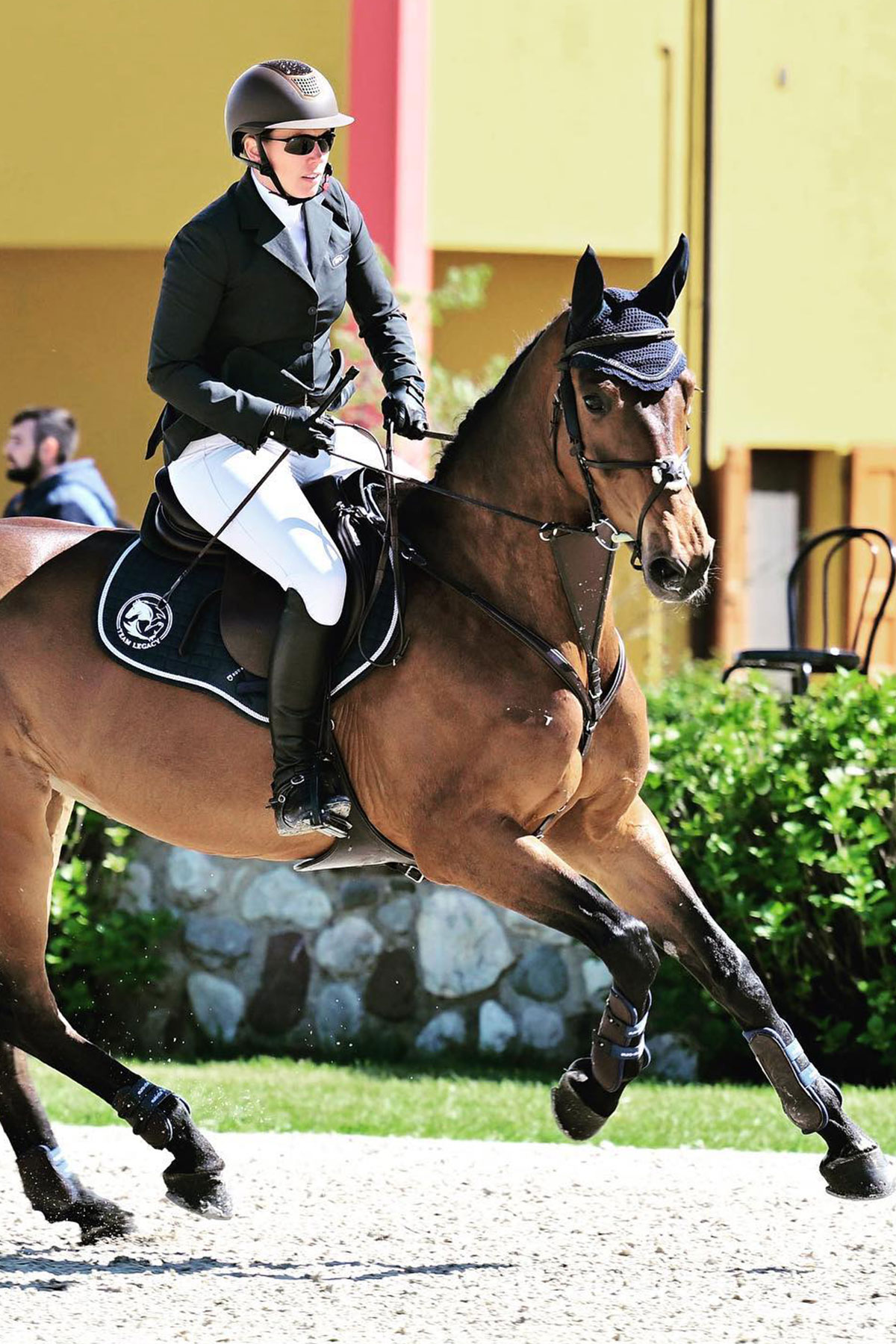 Femmina Baio STAKKEZZA Oldenburger venduto