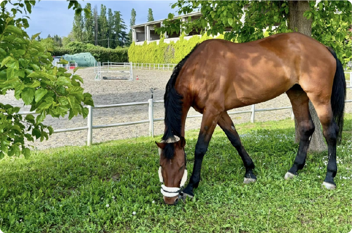 Immagine promozionale