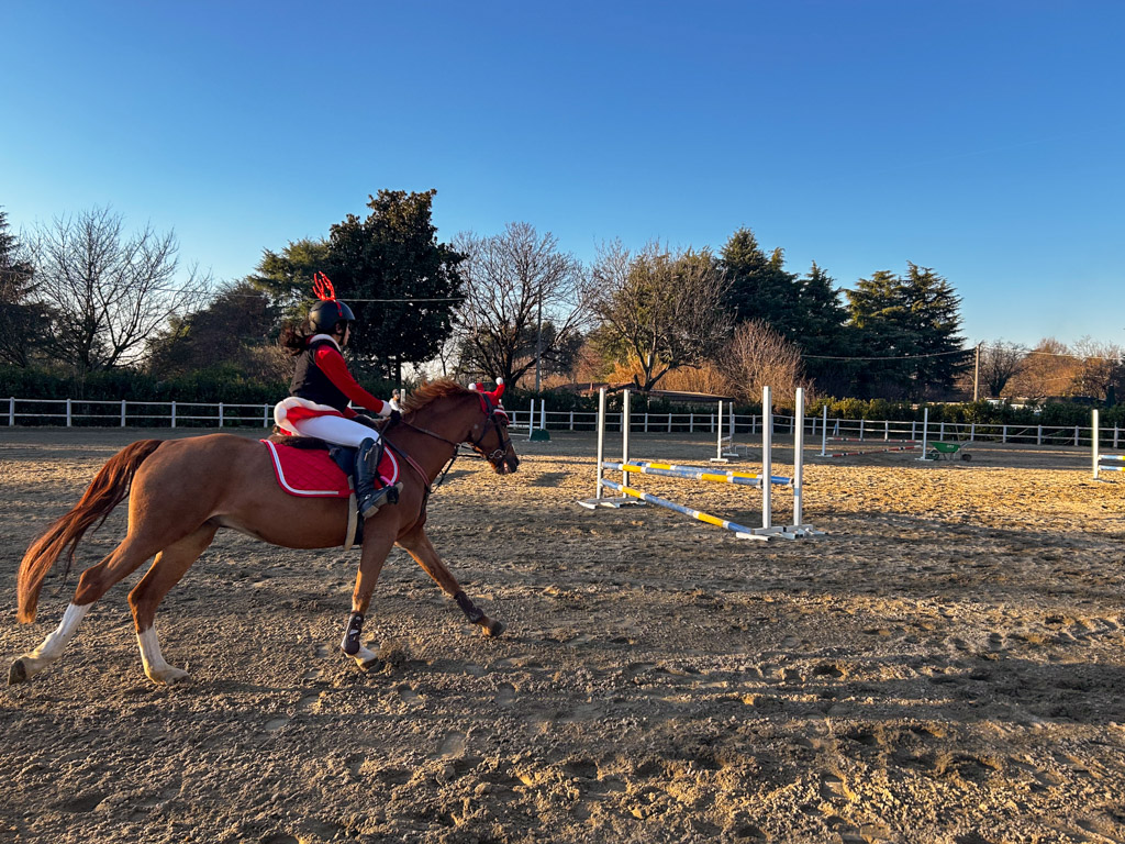 giovani cavalieri al concorso sociale di natale scuola di equitazione