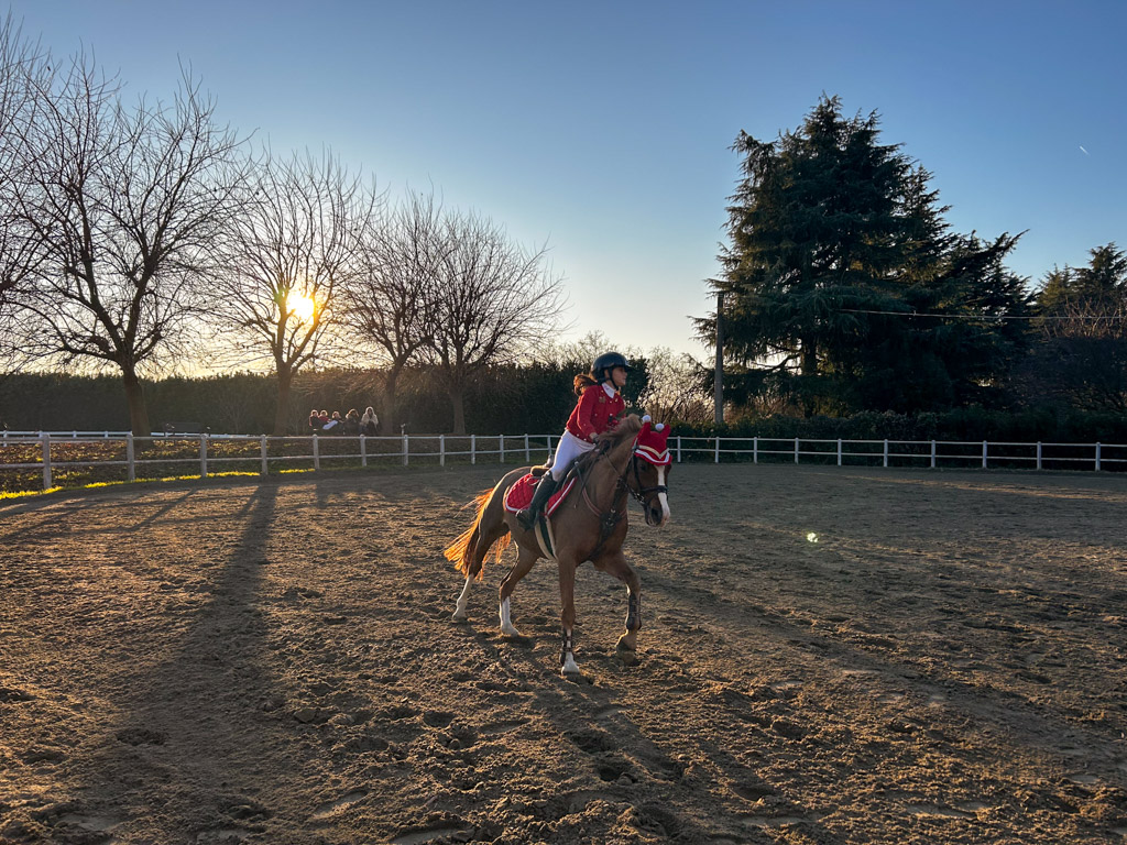 cavallo e bambino impegnati nel salto ostacoli rocca academy