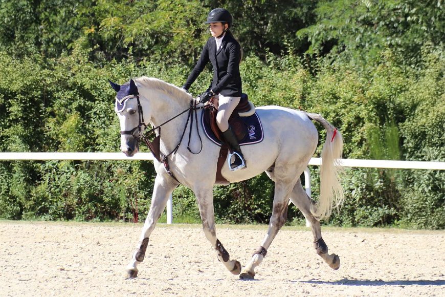 Corso cadetti per ragazzi appassionati di equitazione
