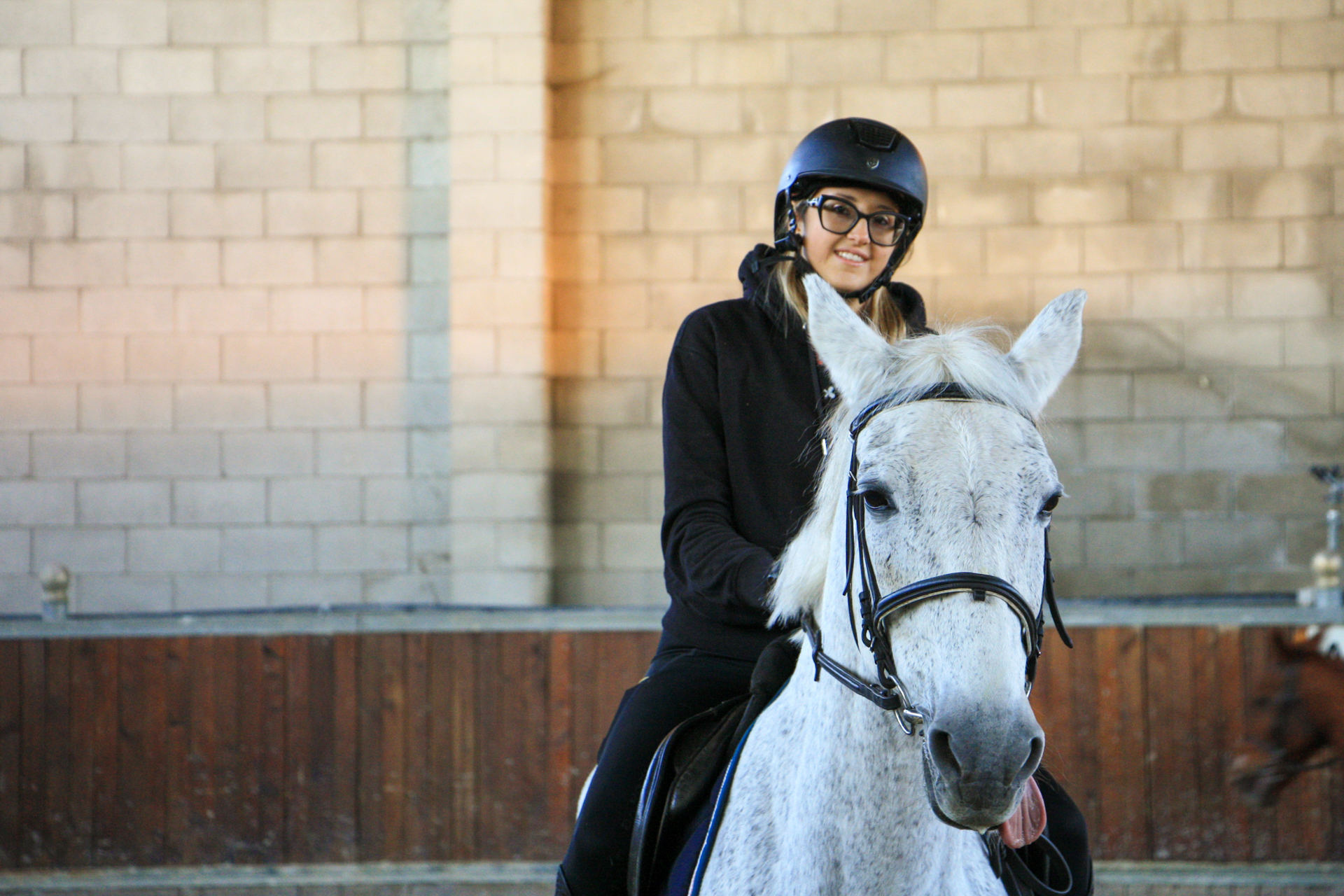 Scuderia e cavalli della scuola di equitazione Rocca Academy