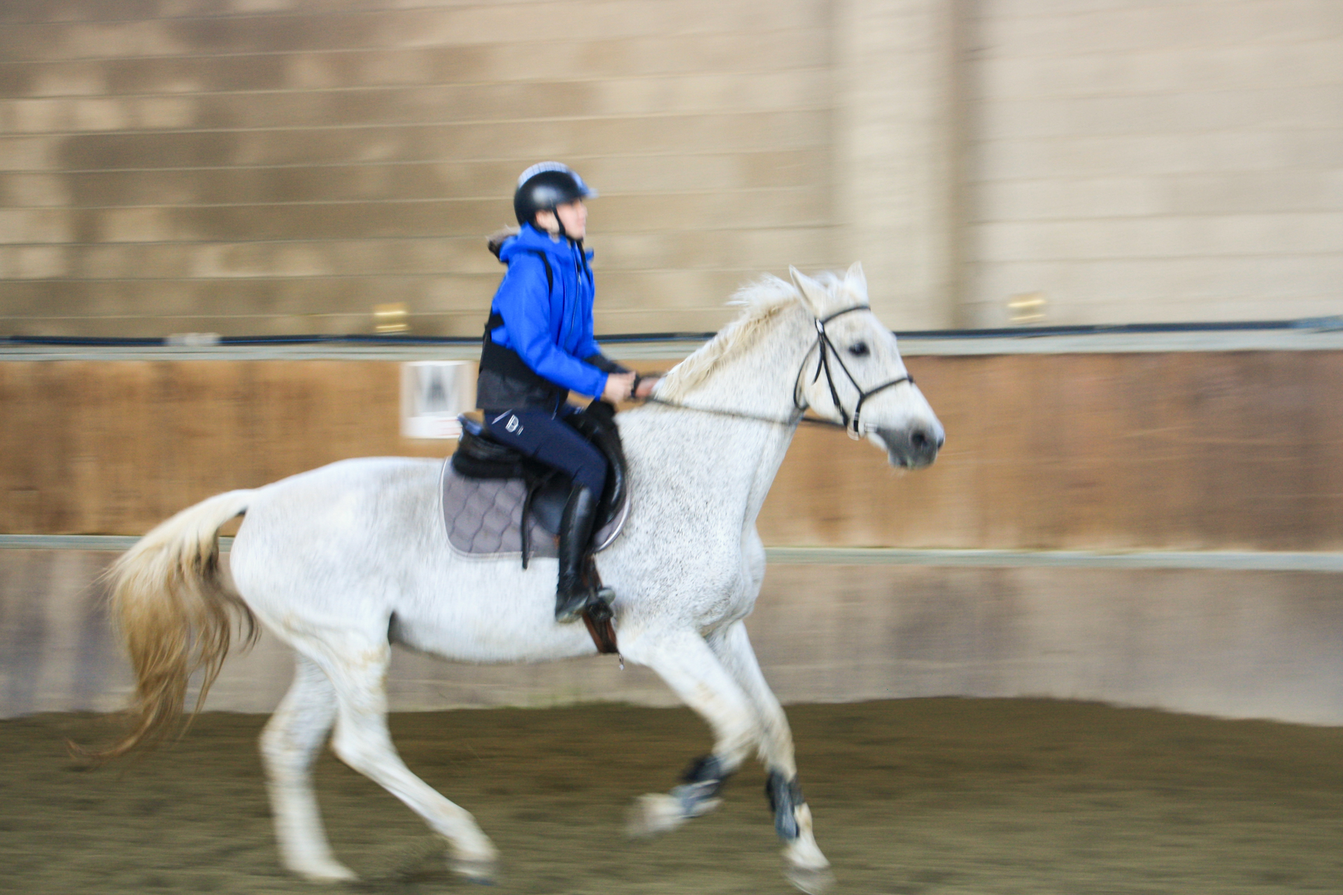 Corso di equitazione per principianti