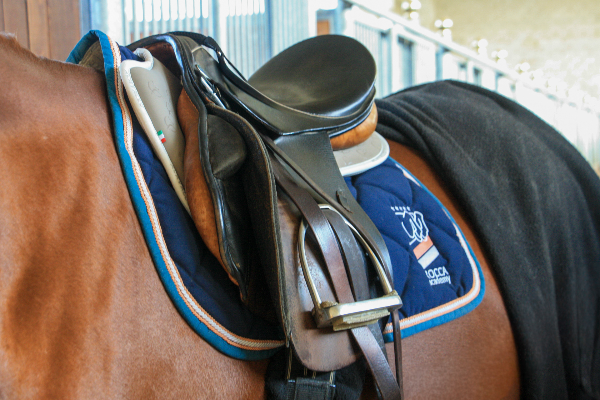 Cavaliere adulto durante una lezione a Rocca Academy