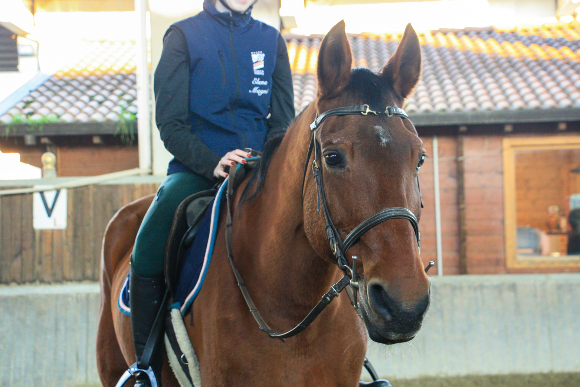 Bambini e pony in addestramento alla scuola di equitazione