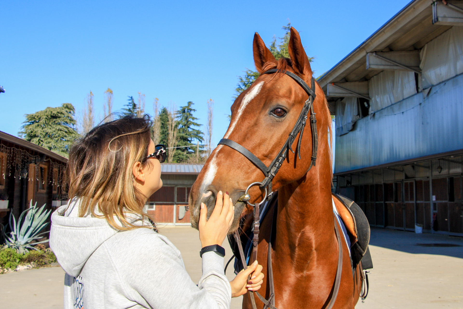 Lezione individuale con pony a Rocca Academy