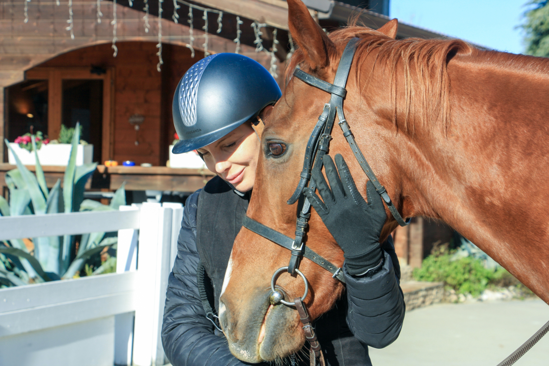 Cavallo durante esercizio di salto ostacoli