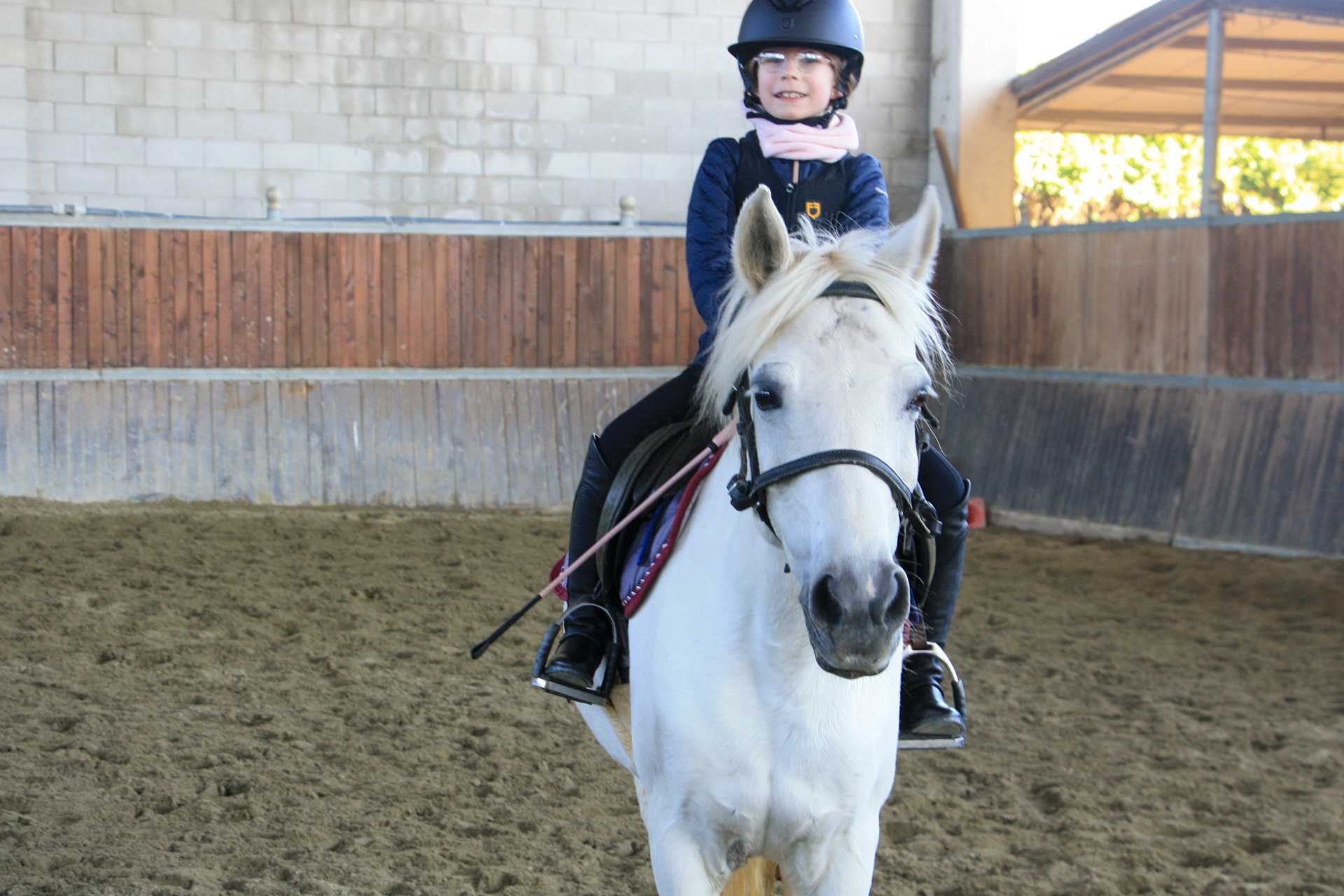 Corsi avanzati di equitazione presso Rocca Academy