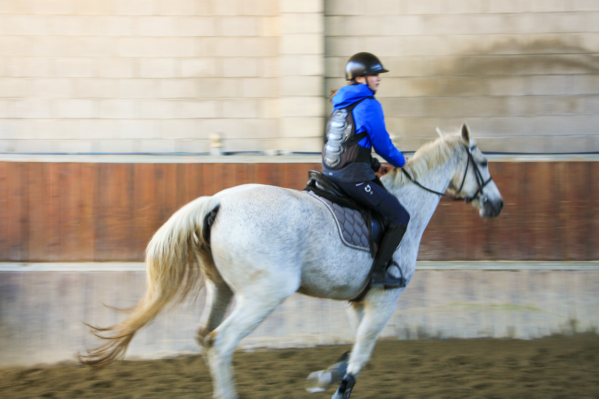 Attività di gruppo con pony per bambini
