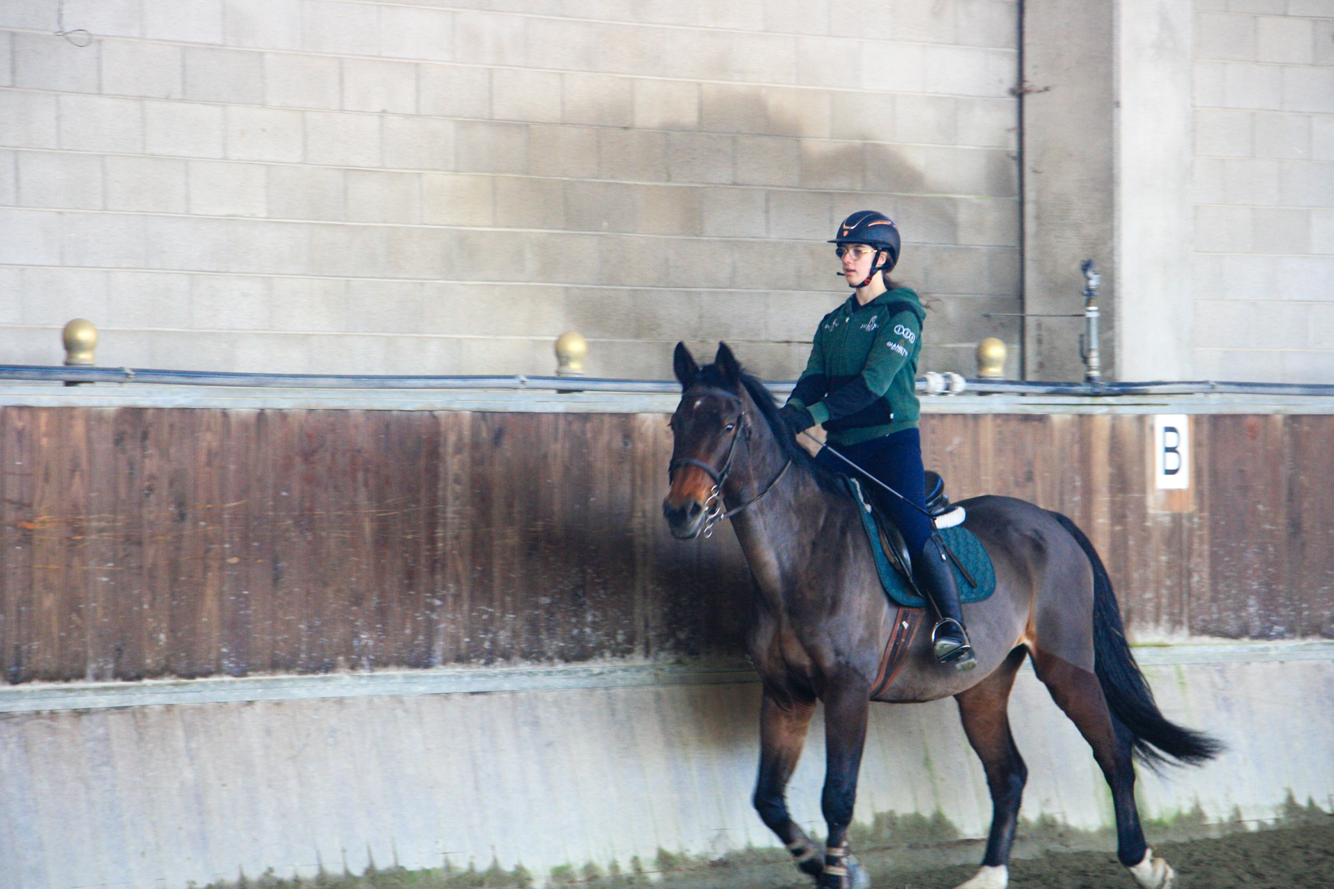 Corso avanzato di equitazione per cavaliere esperto