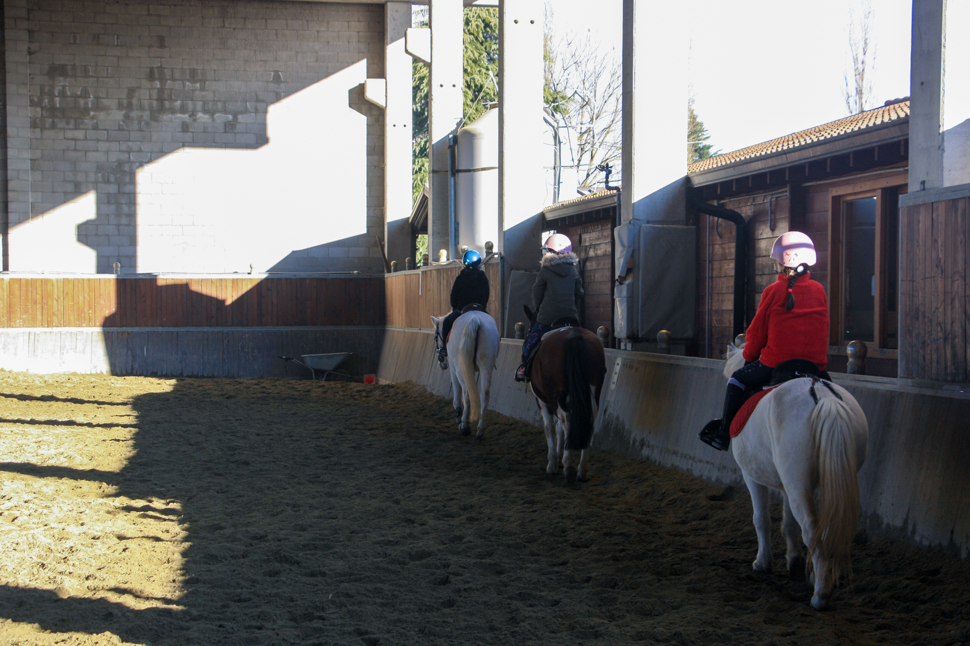 Corso di equitazione livello base per principianti