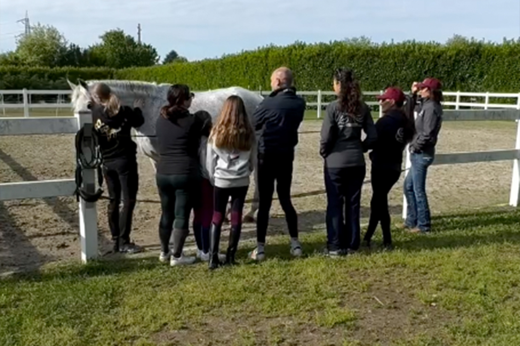 Lezione di equitazione con Elena Bajona