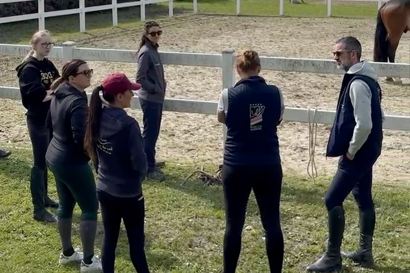 Stage Equestri con focus su tecnica e sicurezza