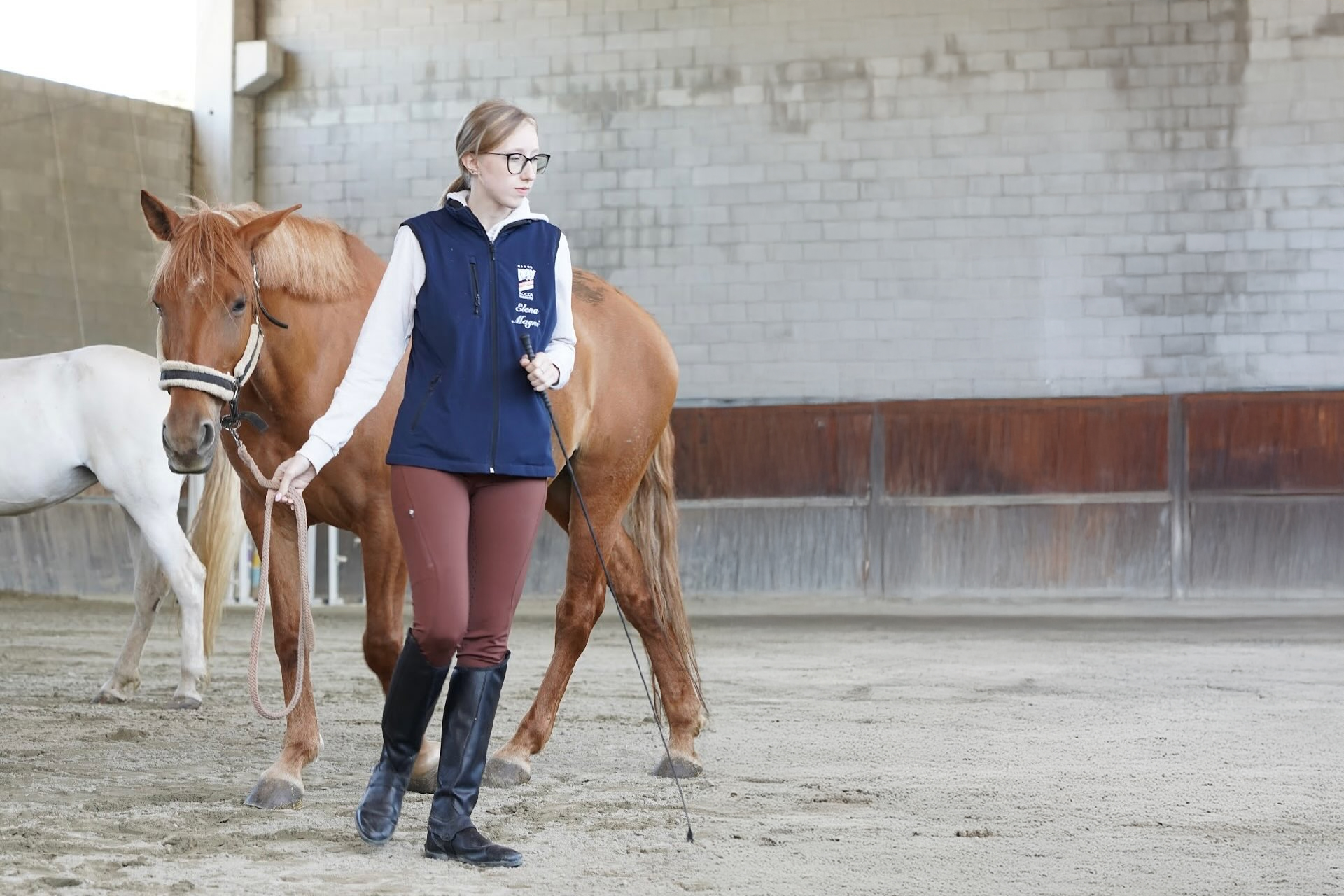 Stage di equitazione Equestri, lezione in maneggio coperto