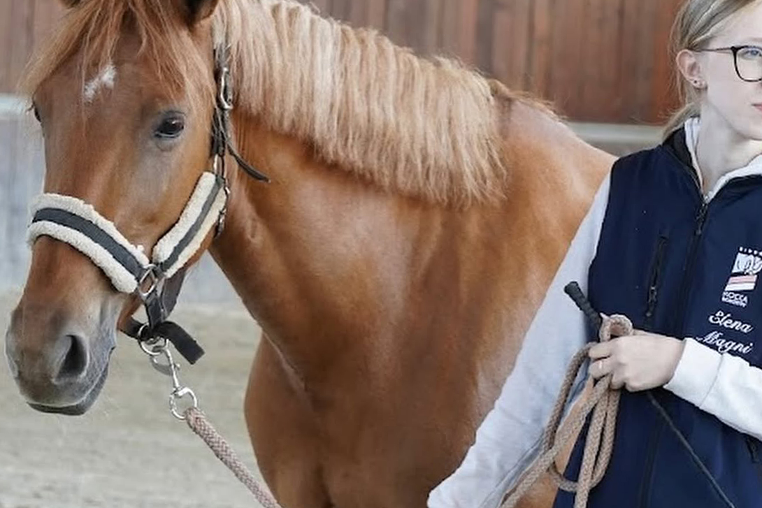 Stage di equitazione Equestri, approfondimento tecnica di salto ostacoli