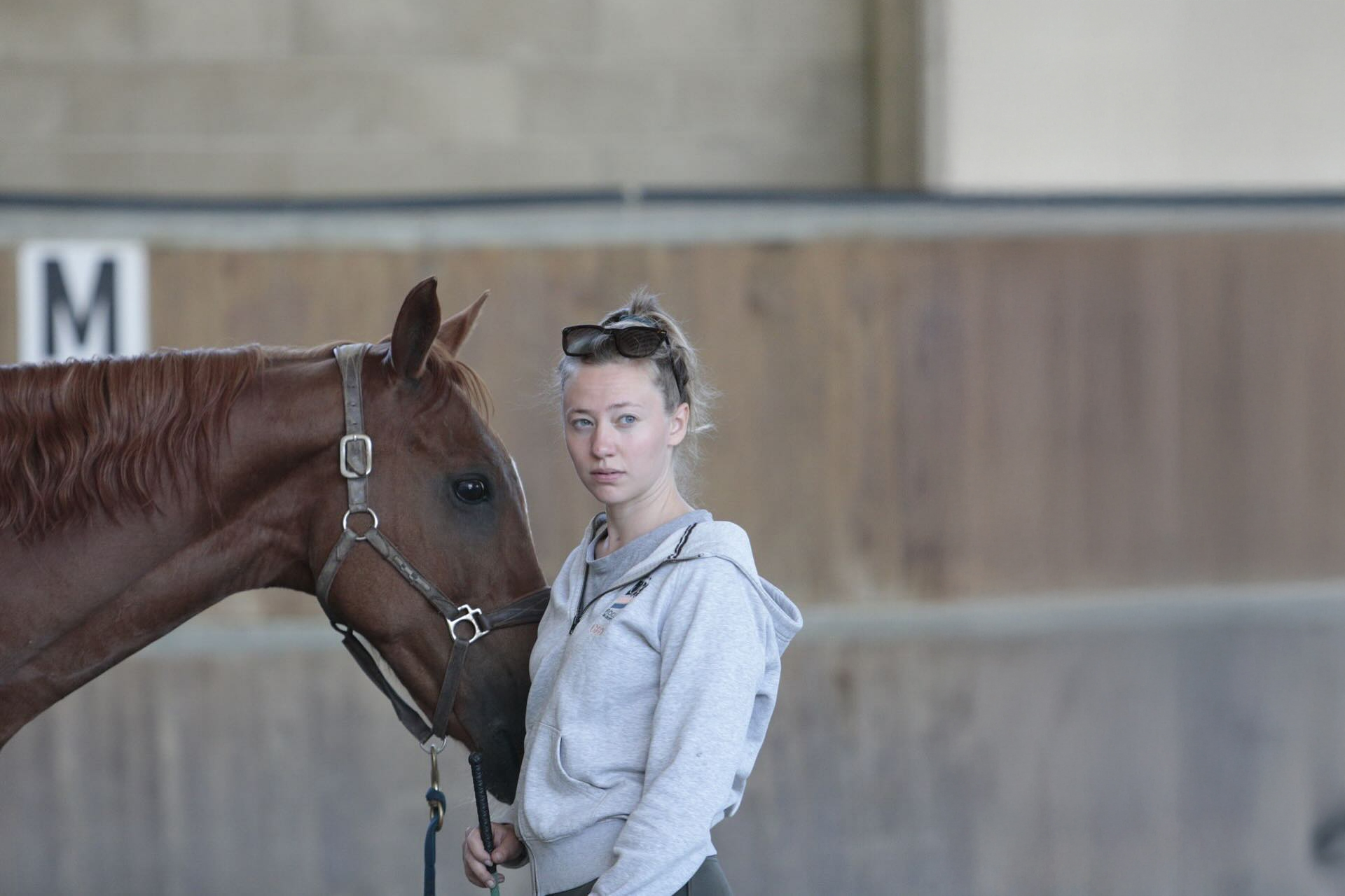 stage di equitazione cavallo e lavoro da terra al centro ippico Rocca Academy
