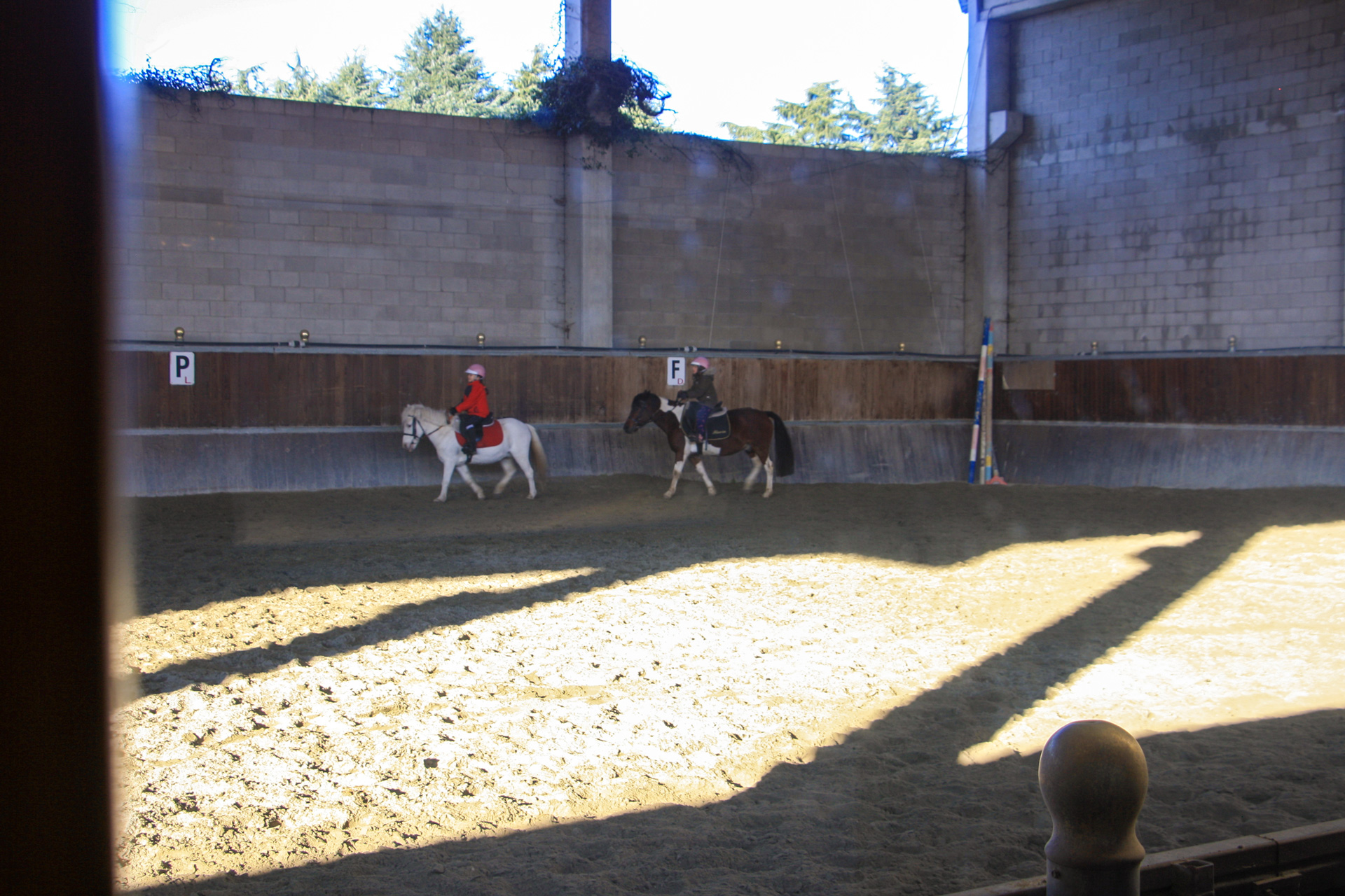 Maneggio coperto con fondo sicuro per cavalli e cavalieri
