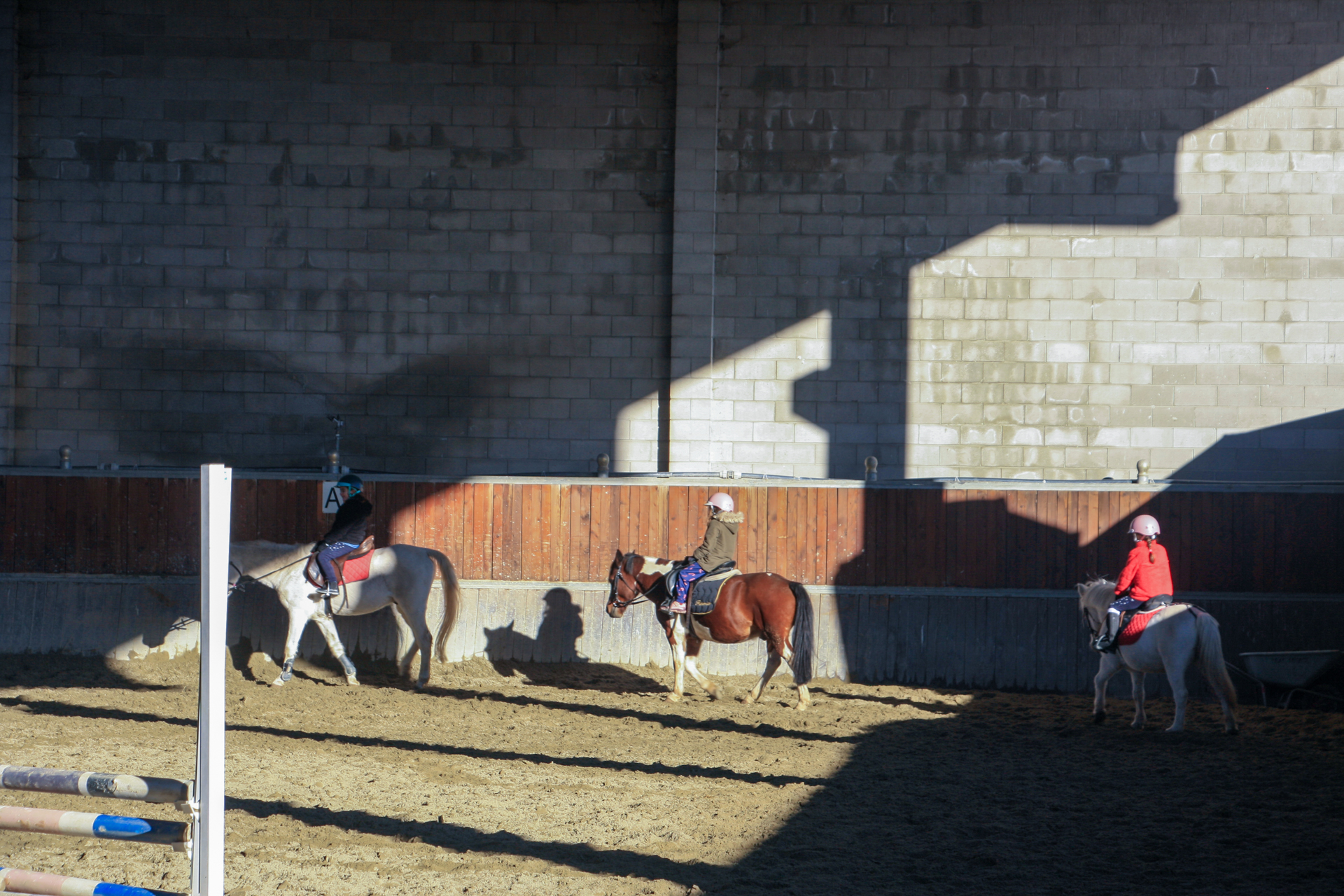 Spazio coperto funzionale per equitazione in ogni stagione