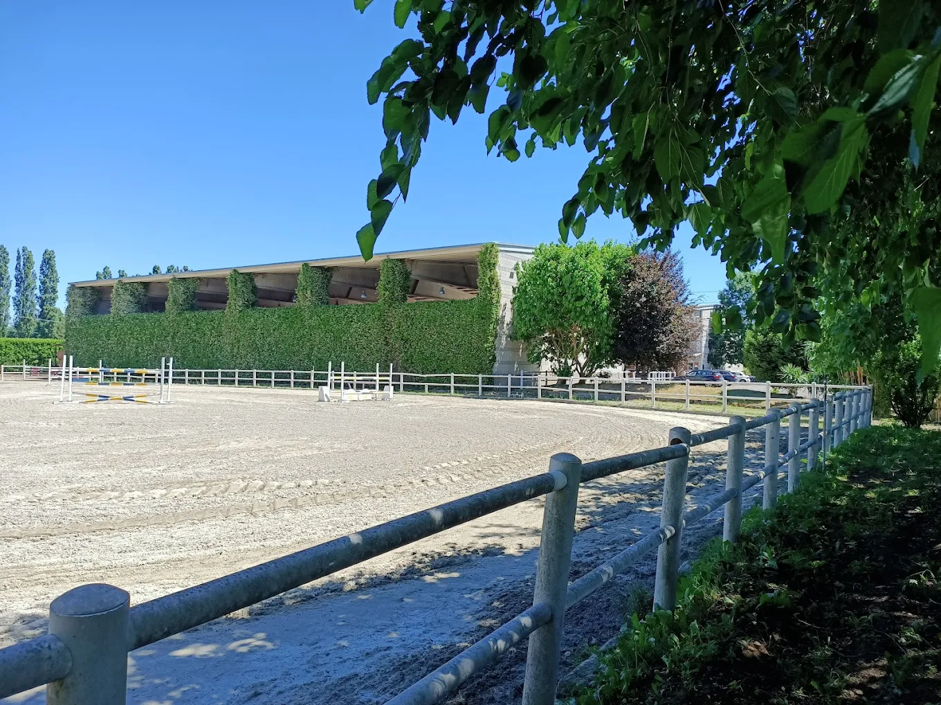 Campo esterno con terreno sicuro per cavalli e cavalieri