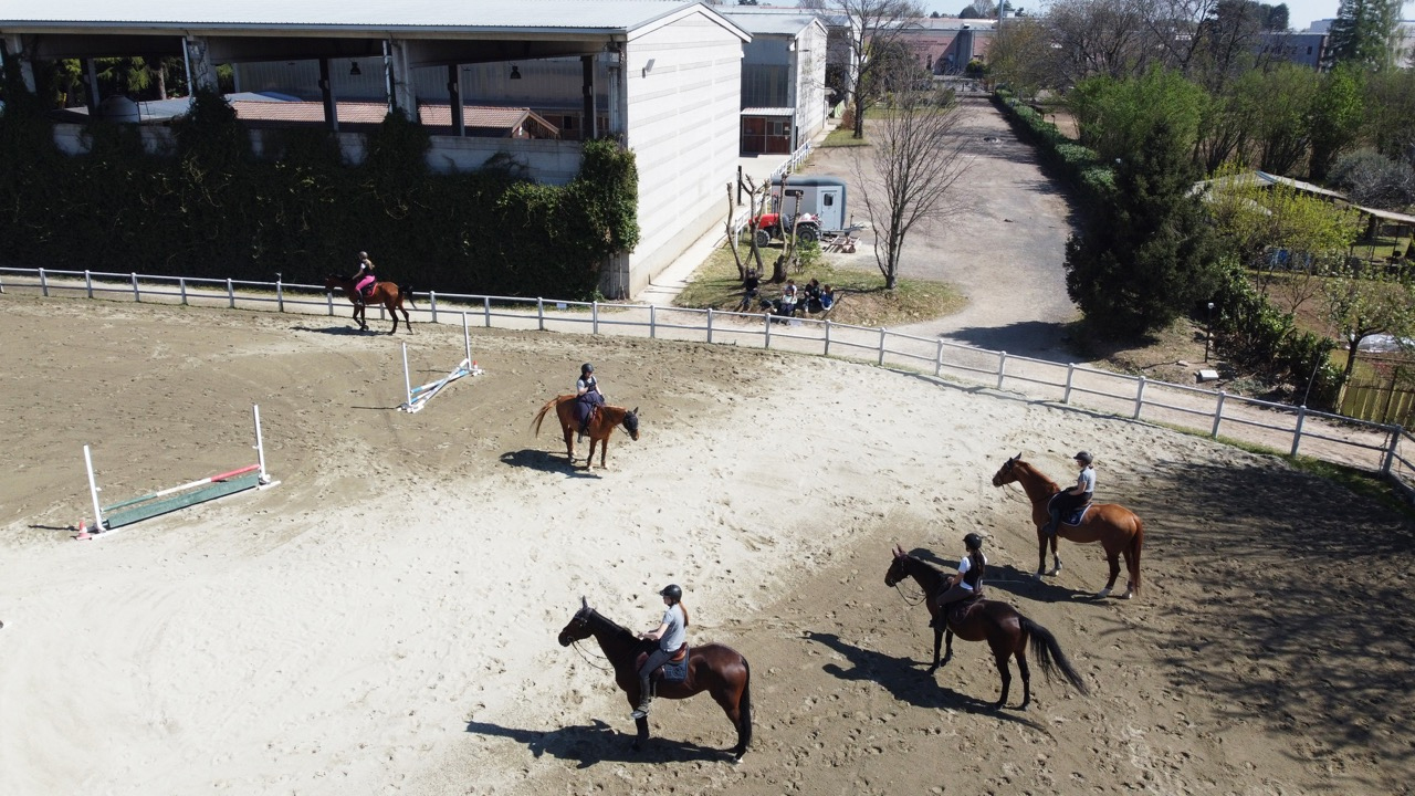 Panoramica del campo esterno con parco ostacoli per cavalli