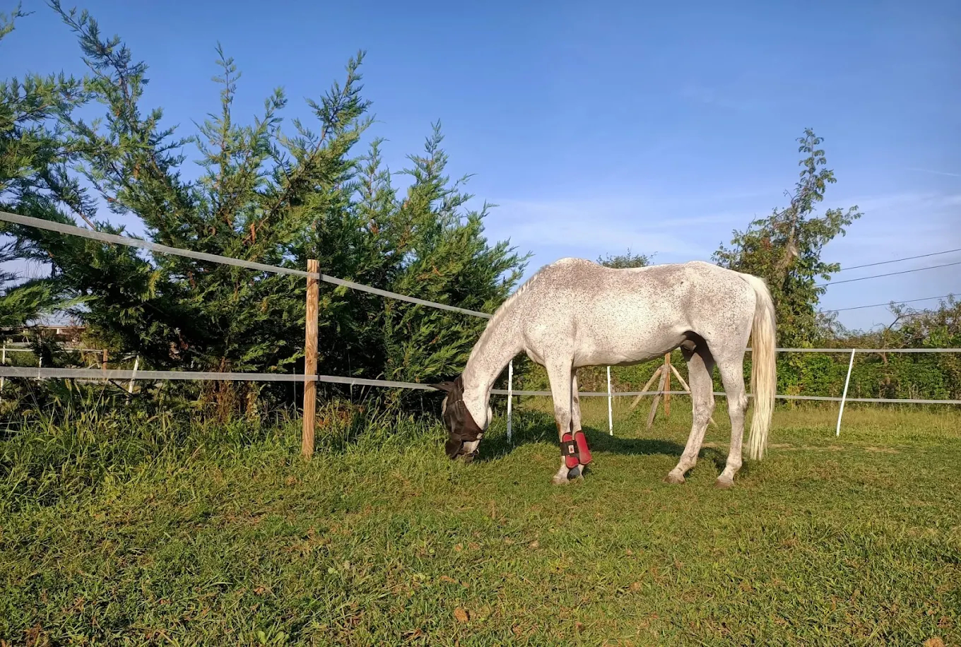 Paddock del centro equestre Rocca Academy in Lombardia