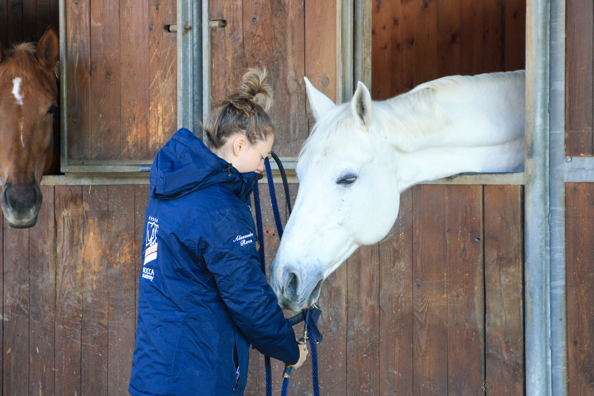 Interno della scuderia Rocca Academy curato e funzionale