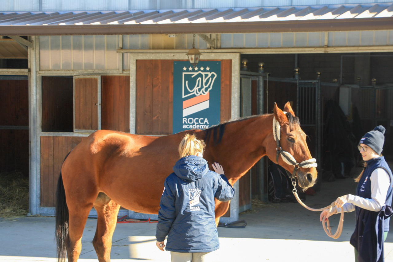 Box per cavalli progettati per comfort e sicurezza