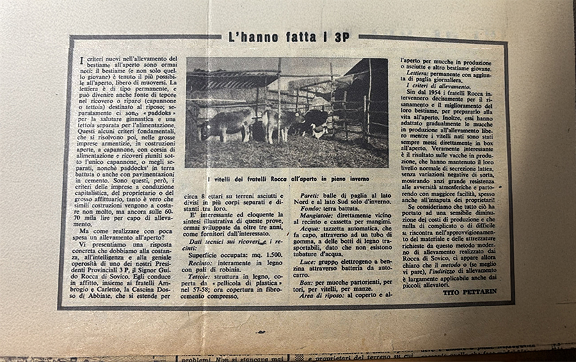 Guido Rocca e fratelli gestione naturale cavalli anni 50